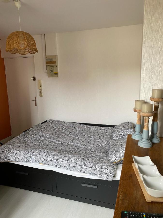 Le Nid - Studio Place Emile Zola / Parking Gratuit Dijon Bagian luar foto